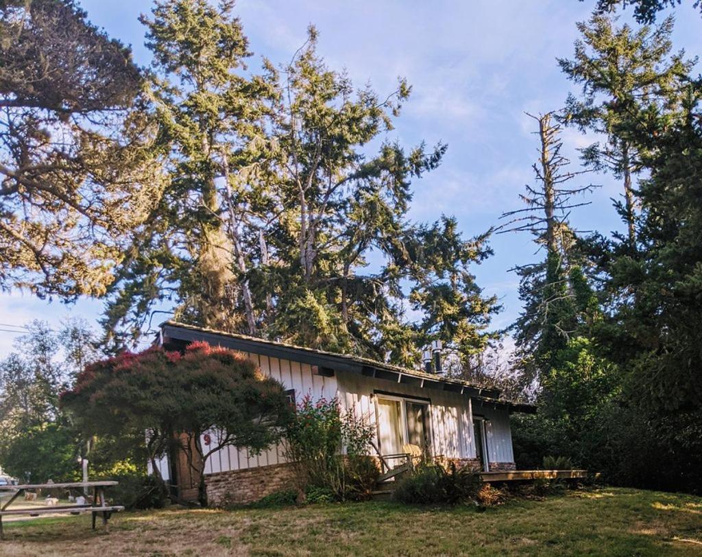 The Andiron Seaside Inn & Cabins Little River Eksteriør billede